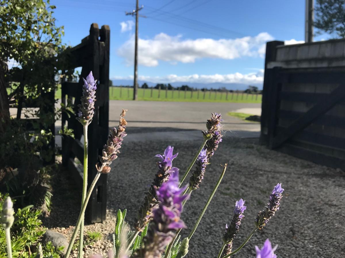 Lavender53 Villa Martinborough Exteriör bild